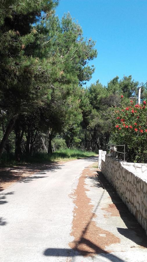 Villa Mateja Donji Okrug  Kültér fotó