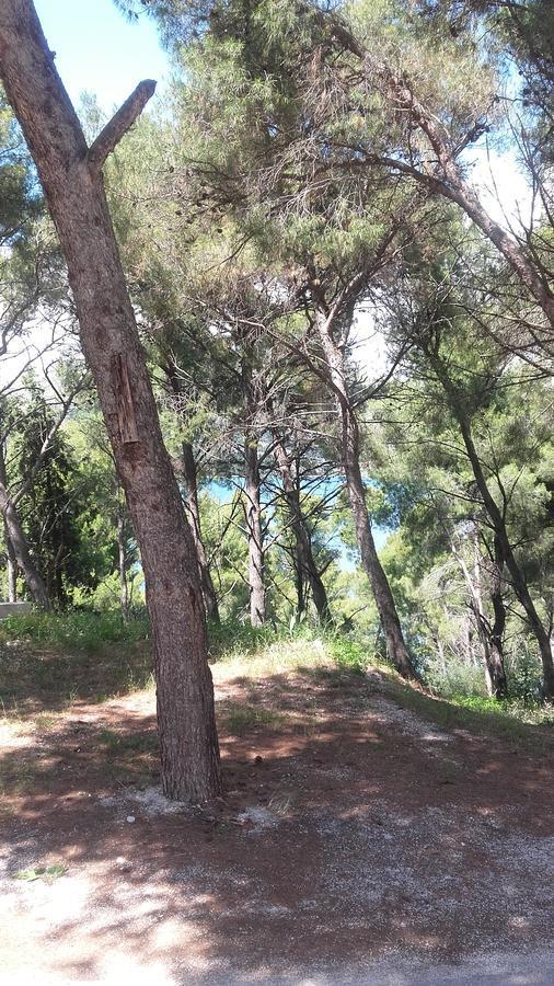 Villa Mateja Donji Okrug  Kültér fotó